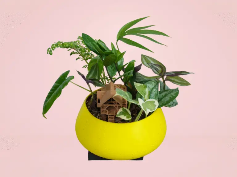 Terrarium Casa del Arbol - Imagen 2