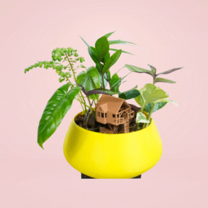 Terrarium Casa del Arbol