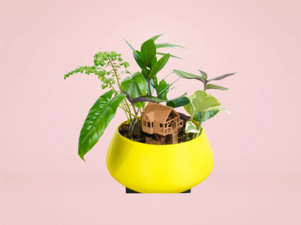 Terrarium Casa del Arbol