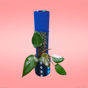 Philodendron Pink Princess