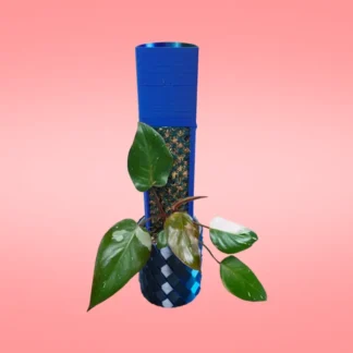 Philodendron Pink Princess