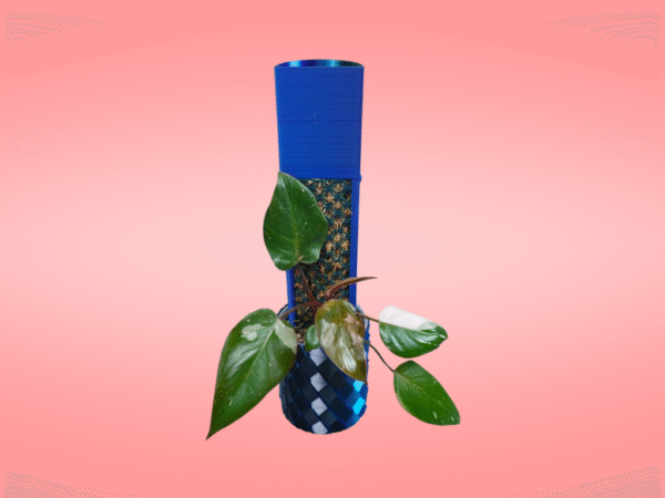 Philodendron Pink Princess