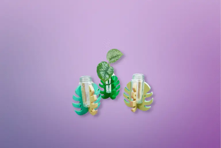 Propagador Decorativo - Imagen 3