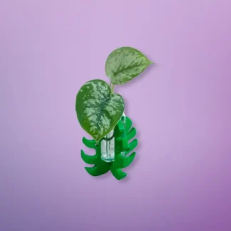 Propagador Decorativo