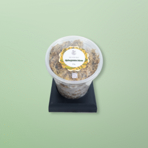 Musgo Sphagnum