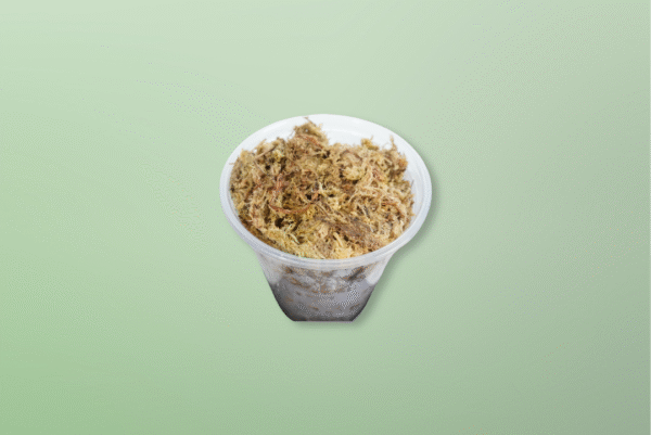 Musgo Sphagnum - Imagen 2