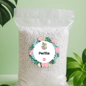 Perlita